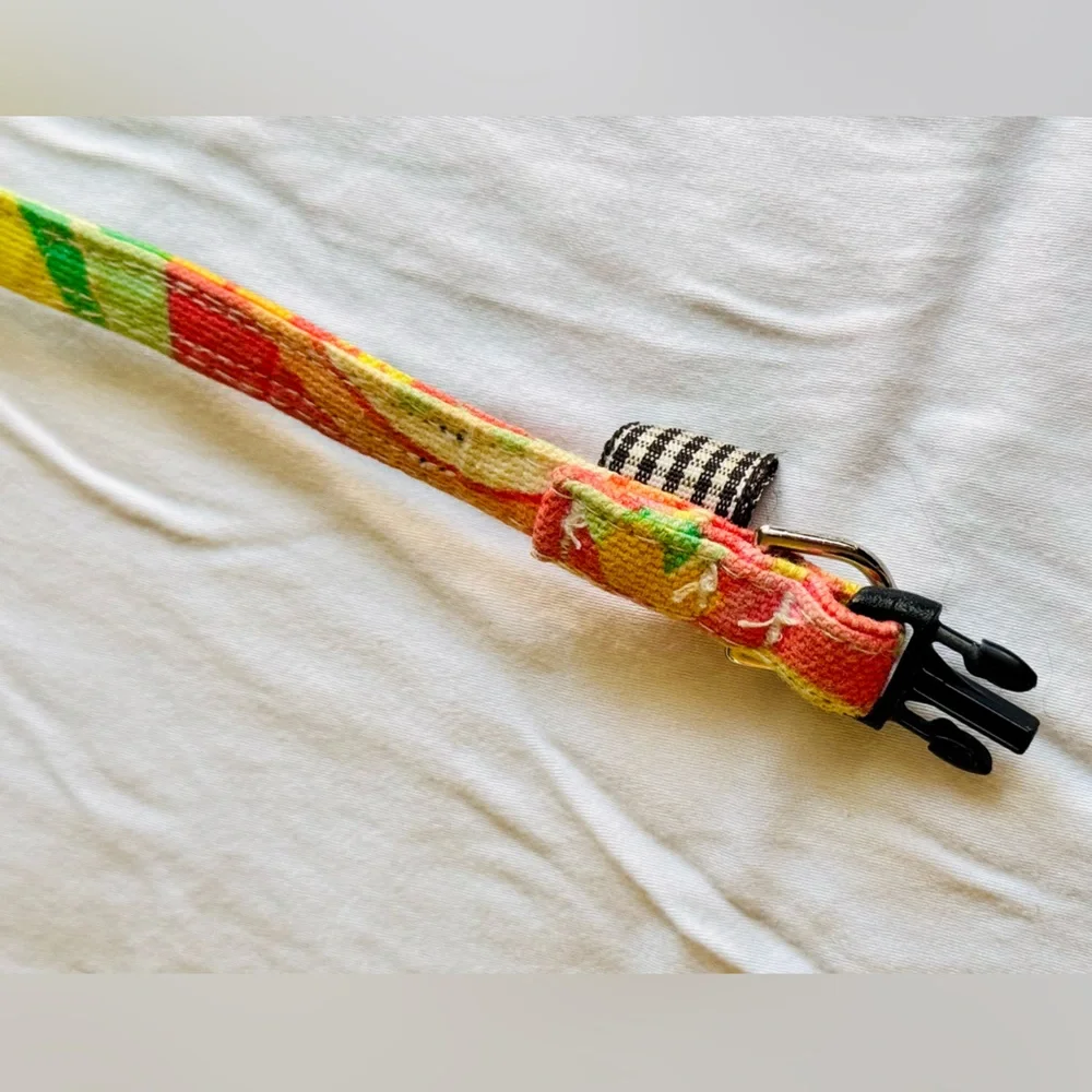 Pet Boutique Orange Yellow & Lime Green Retro Floral Fabric Skinny Dog Collar